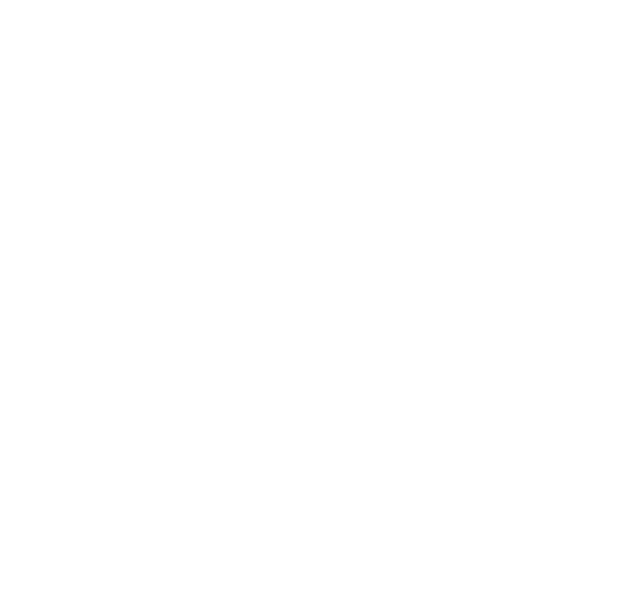 Zardex — Curățenie Profesională